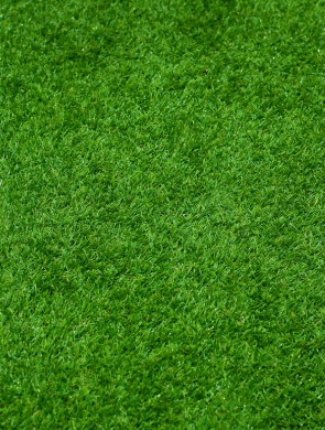 Artificial Grass