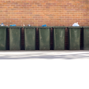 Dustbins & Sculptures